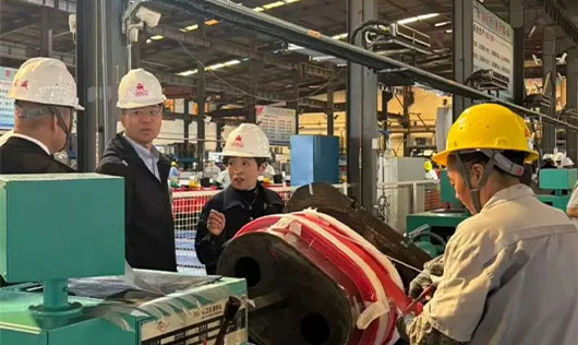 We warmly welcome all the leaders to visit and guide Jiangsu Yawei Transformer Co., LTD